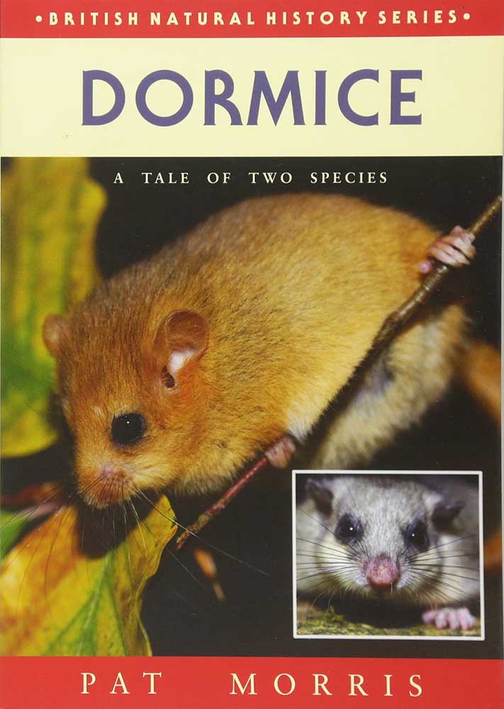 Dormice-British-Natural-History-Series-by-Pat-Morris