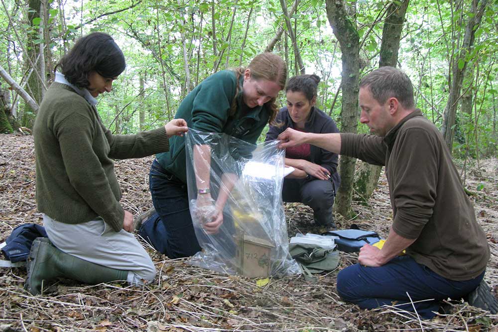 Group-of-surveyors-checking-box-Sept-2009-V2-surveying-and-monitoring-hazel-dormice-PTES-HEADER