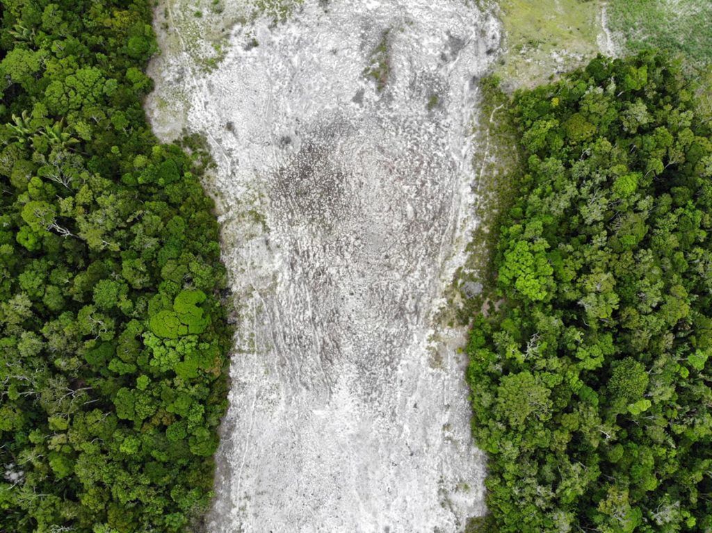 Highlighting the demise of Madagascar’s Littoral Forest