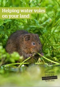 helping water voles on your land guide