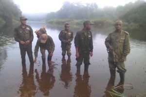 ICCN-patrols-Iyondji-July-2018 PTES Bonobo success story