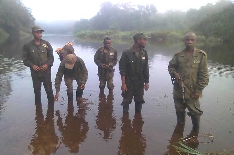 ICCN-patrols-Iyondji-July-2018 PTES Bonobo success story bonobo hunting