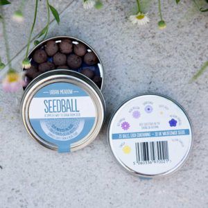 PTES-Seedball-urban-meadow-seed-mix-tin