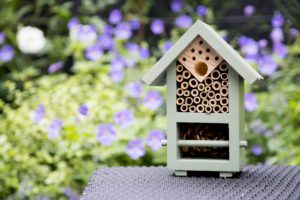 Wildlife World Bug and Bee Hotel - PTES - Garden