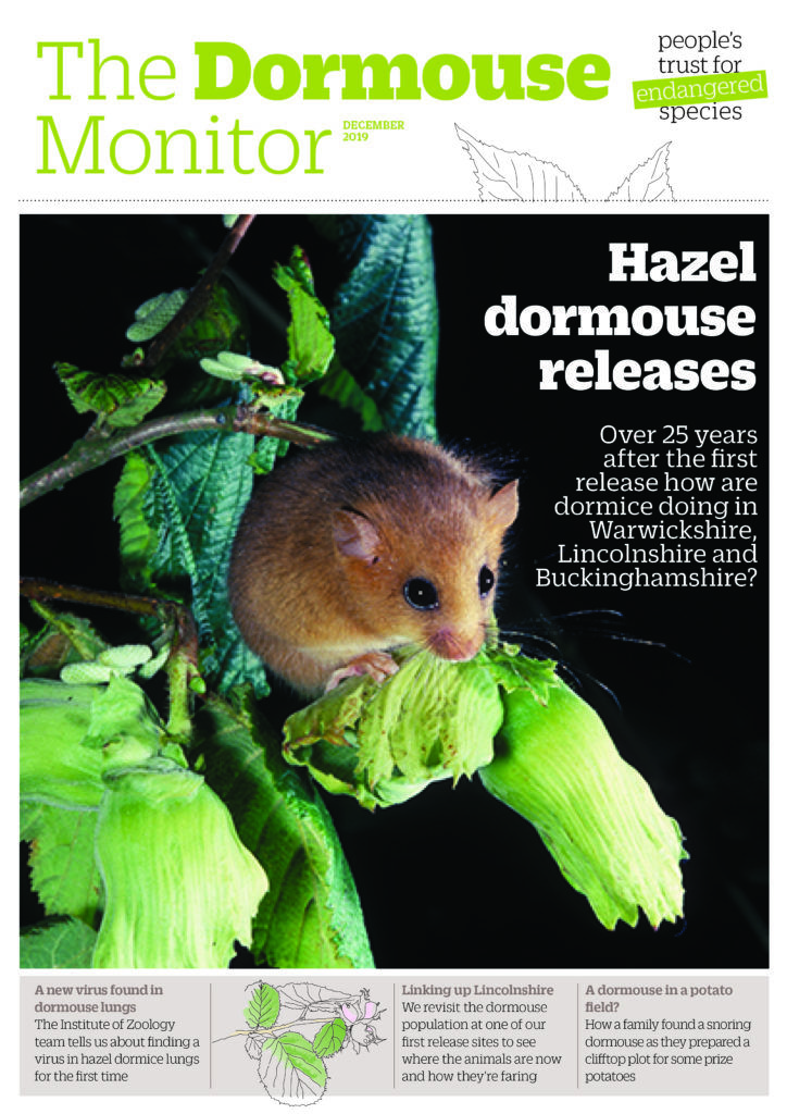 Dormouse monitor winter 2019_HR