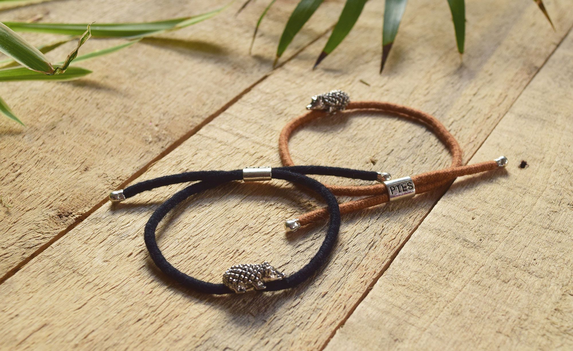 Banner-photo-resized-for-web Donate to receive a ptes hedgehog bracelet