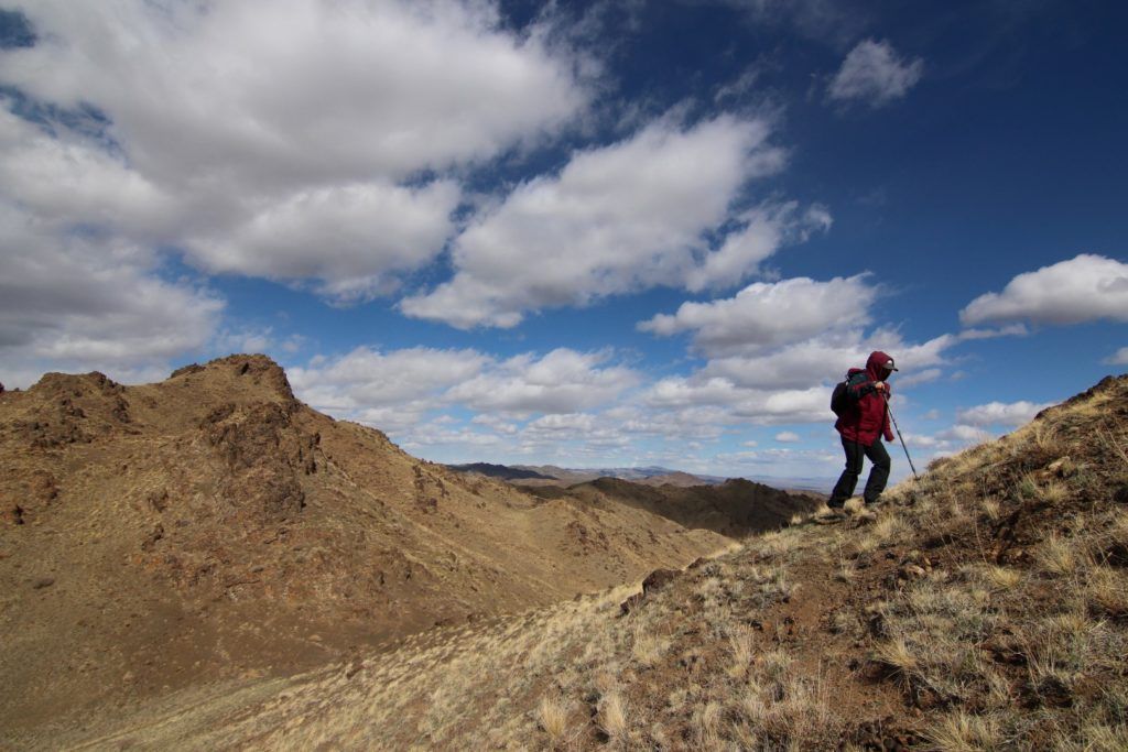 Searching for snow leopards and bears in Great Gobi, Mongolia
