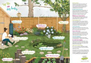 Top tips for stag beetles - People's Trust for Endangered Species