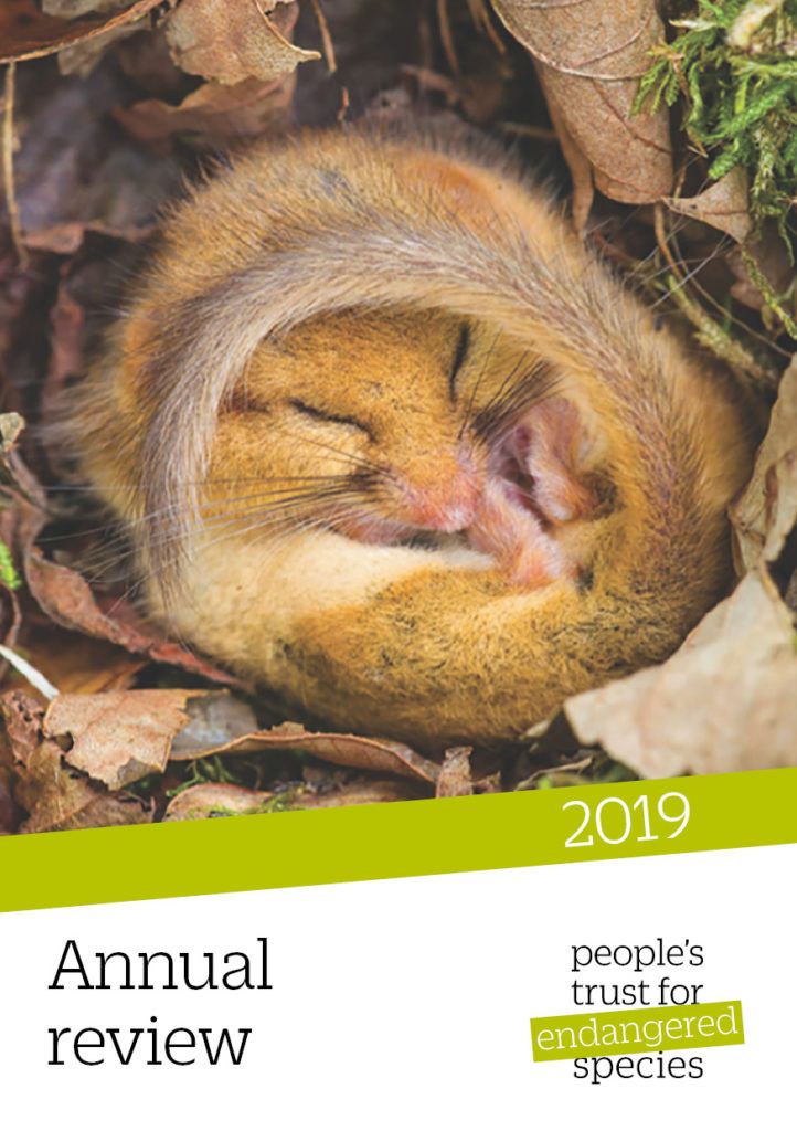 Annual-review-front-cover