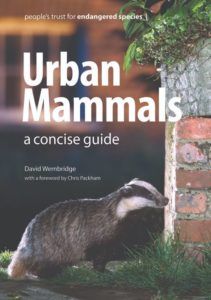 Living with Mammals - Urban-mammals-A-concise-guide