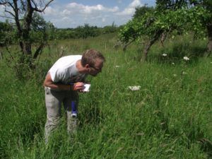 Searching for noble chafer beetles in the field using traps