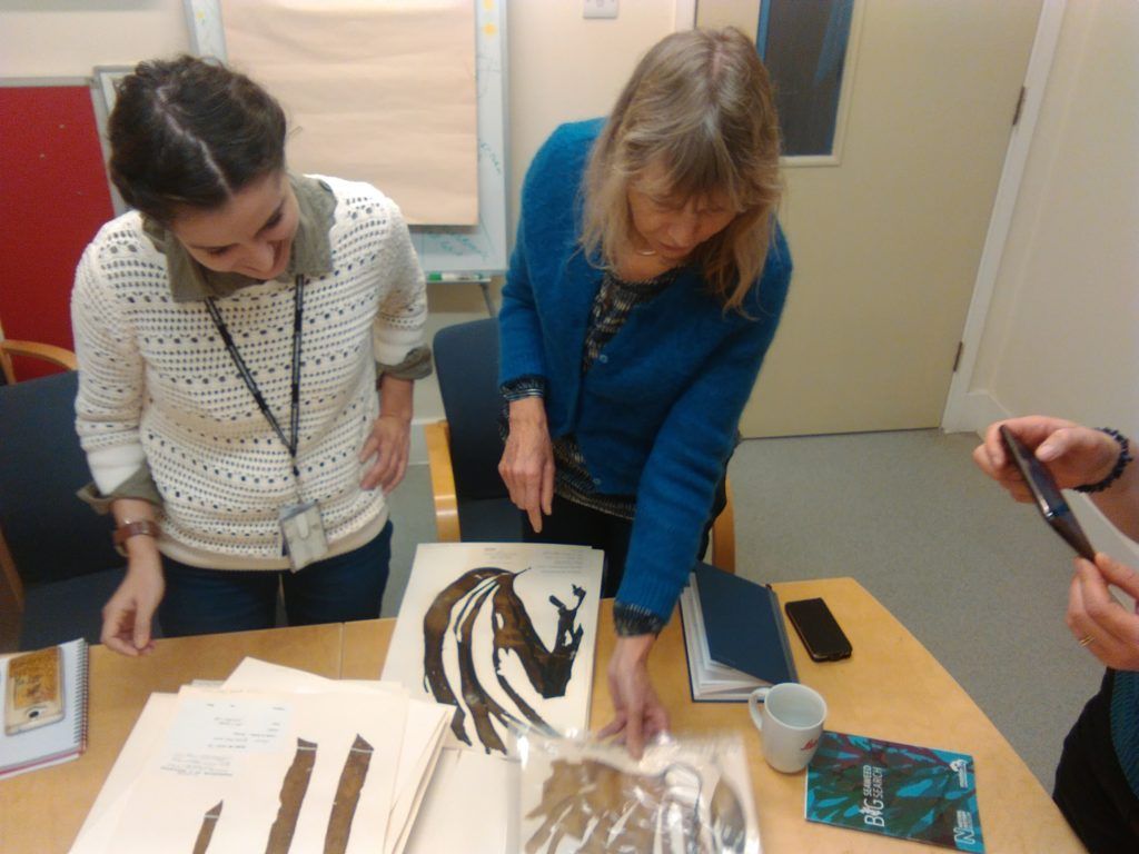 Danai looking at UK kelp collections from Natural History Museum’s herbarium with Professor Juliet Brodie.