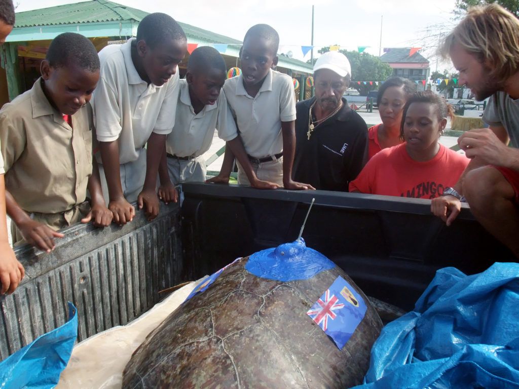 Teaching school pupils about turtle conservation.