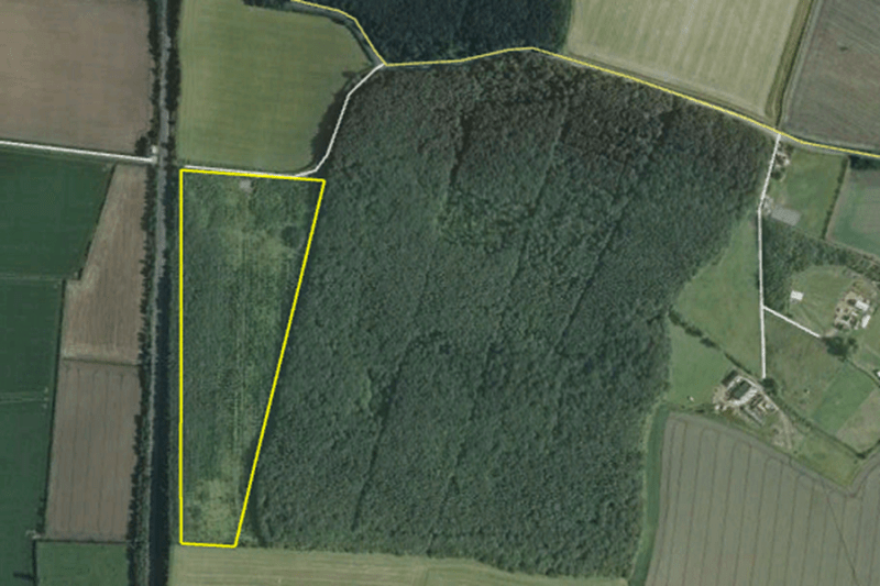 Figure 1: The yellow polygon highlights the location of Silcock Wood, abutting the western edge of Gamston Wood.