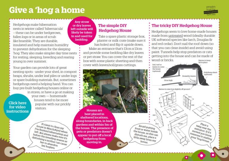 How to build a hedgehog house PTES