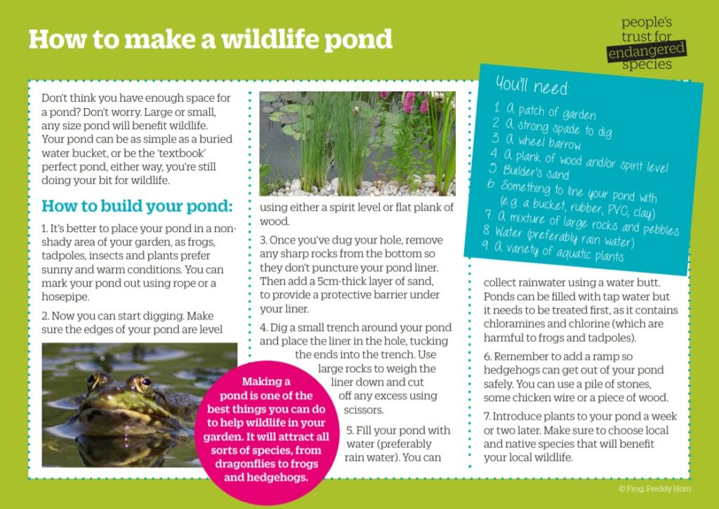 wildlife pond instructions