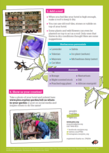 insect hotel instructions 2