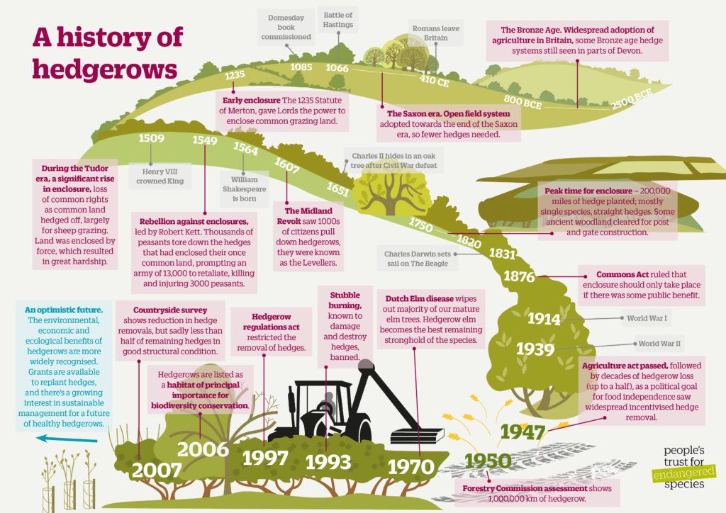 Hedgerow history timeline PTES