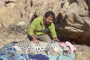 Mohammed with a leopard