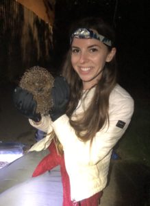 Lyric Palmer holding a hedgehog during a survey