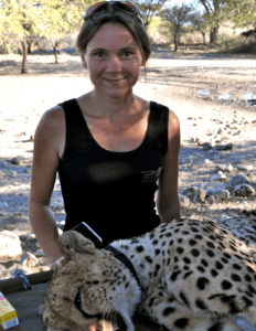 Rebecca Klein with collared cheetah