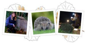 Hedgehog appeal 2021 People's Trust for Endangered Species