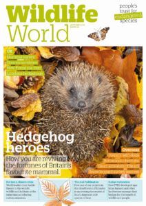 Wildlife World AW 2021 Magazine Front Cover