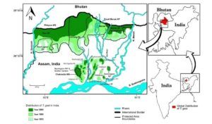 Golden langur habitat map, India.