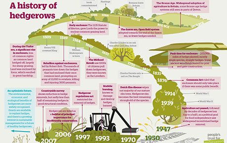 A-history-of-hedgerows