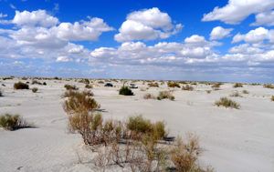 The environment around Resurrection Island has changed dramatically since the Aral Sea was drained.