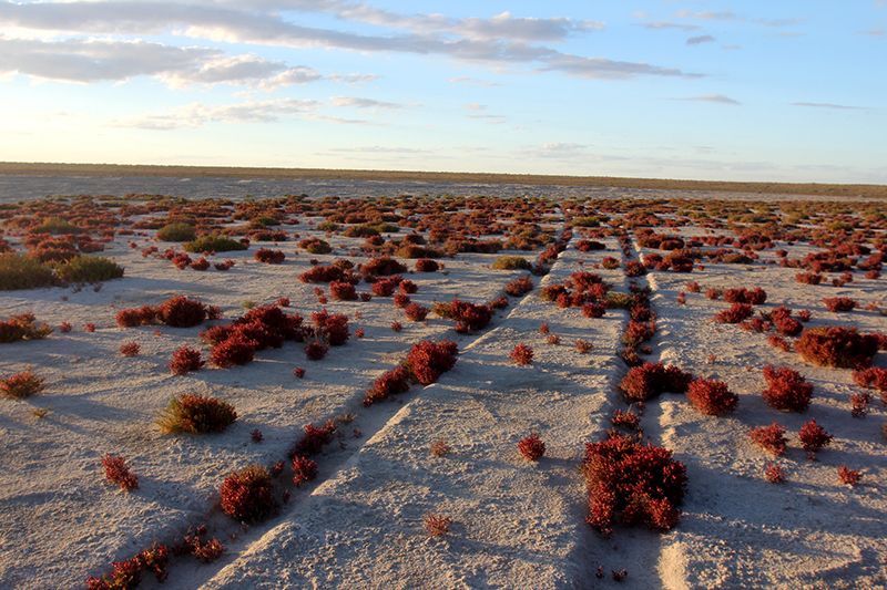 The landscape around Resurrection Island is dry, vast and unlike anywhere else on earth.