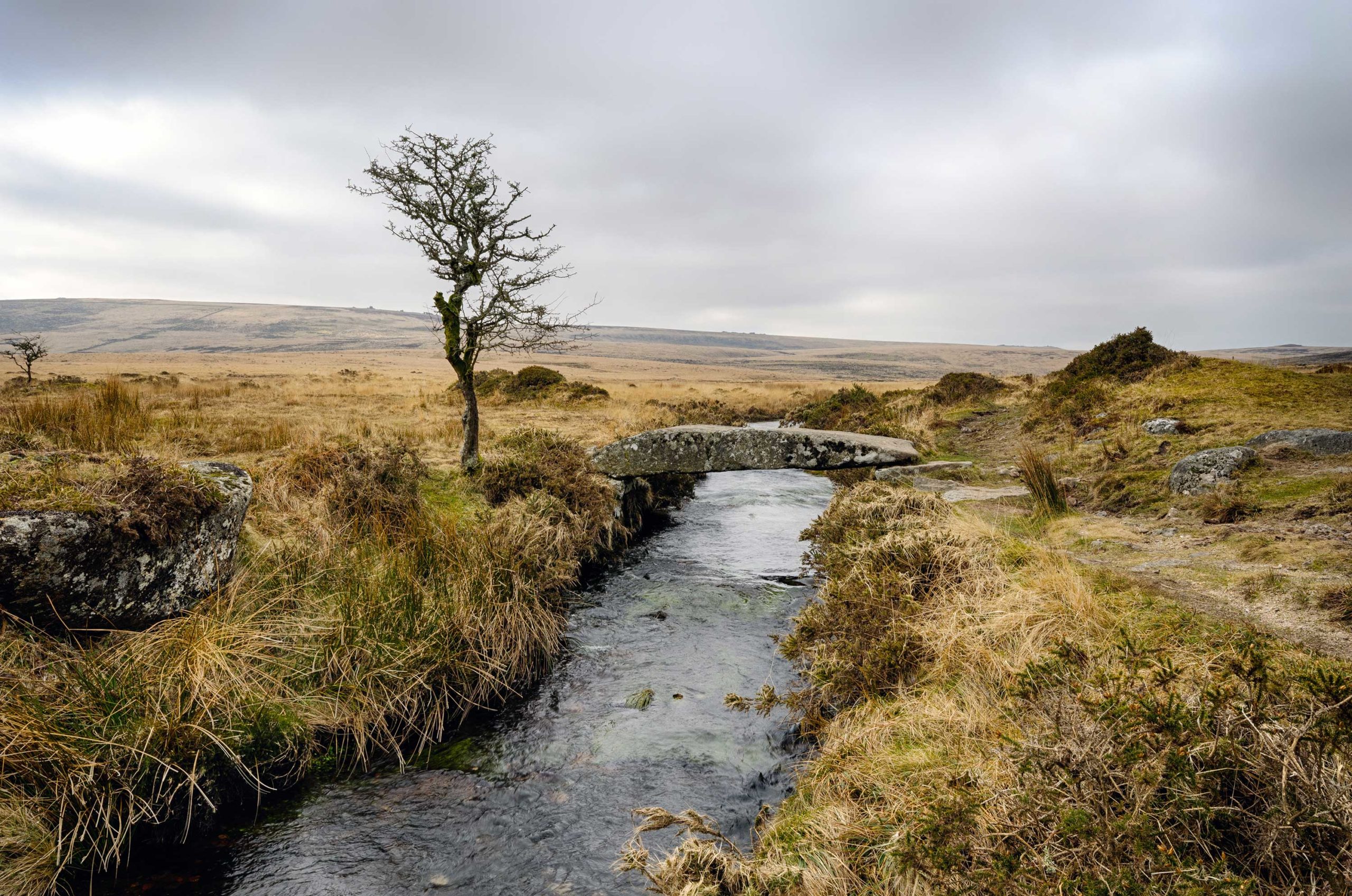 Dartmoor-Helen-Hotson-Shutterstock.com