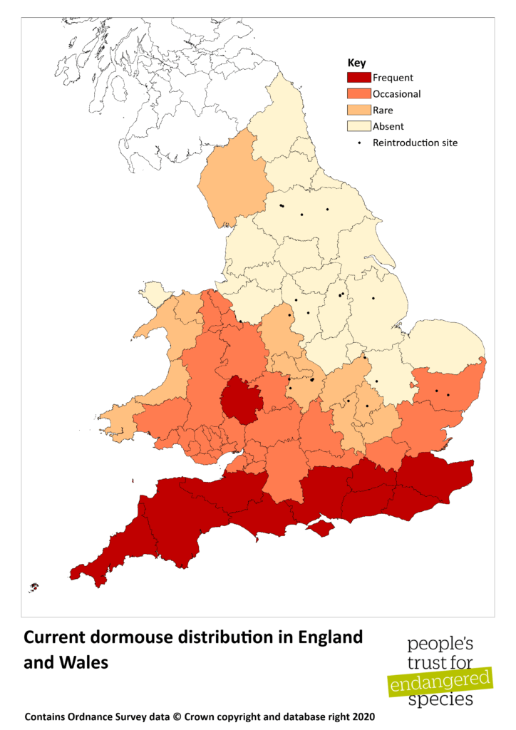 Current-dormouse-distribution-August-2020