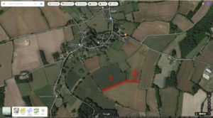 Hedgerow-location-National Dormouse Footprint Tunnel Survey