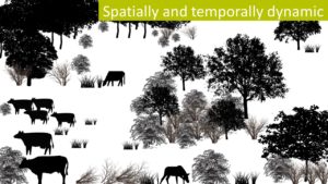 Spatially_and_temporally_dynamic