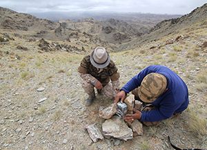 Setting cameras to monitor snow leopards in Mongolia