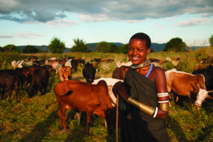 Brabaig people herding Cattle, Tanzania.