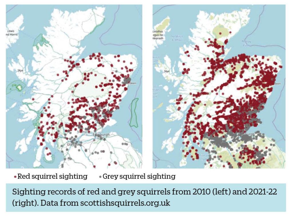 Trees for Life map showing sighting records of red and grey squirrels from 2010 and 2021-22