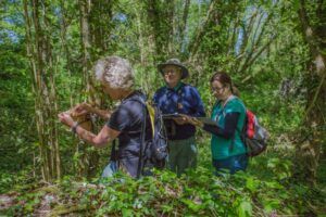 Volunteers-checking-dormouse-boxes-What3words-Peoples-Trust-for-Endangered-Species-Photo-credit-Chuck-Eccleston
