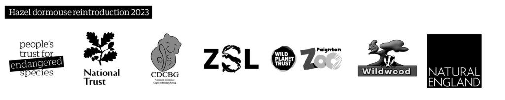 Hazel dormouse reintroduction 2023 partner logos graphic