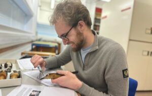 Matt processing kingfisher, thumbnail