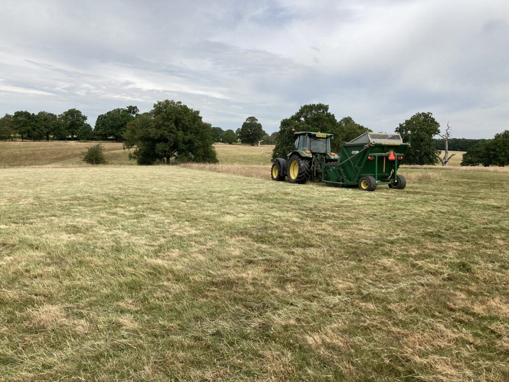 Green hay Prep1 – the grass was cut short and arisings removed. Then it was scarified with a chain harrow to open up some bare soil.