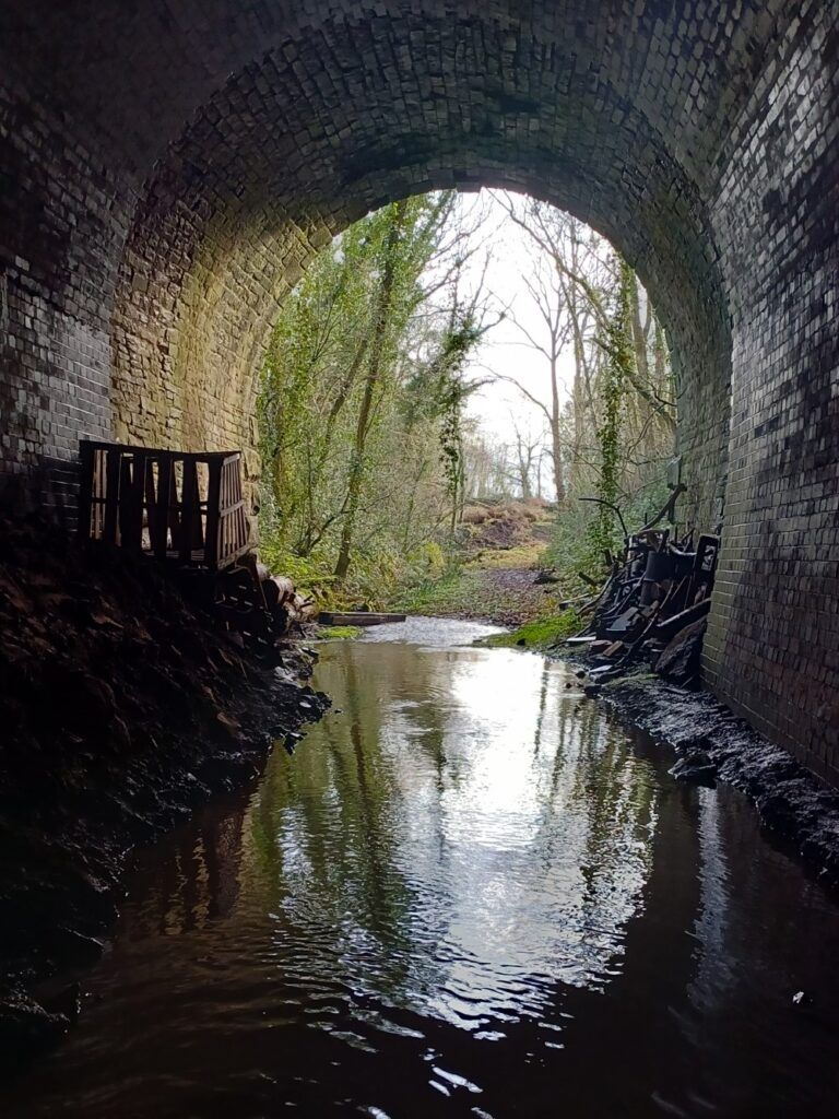 Disused tunnel - credit Chiara Scaramella. People's Trust for Endangered Species