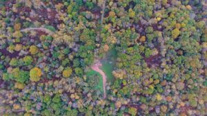 An-ariel-view-of-the-major-oak-and-sherwood-forest.-Photo-by-Noel-Durdant-Hollamby