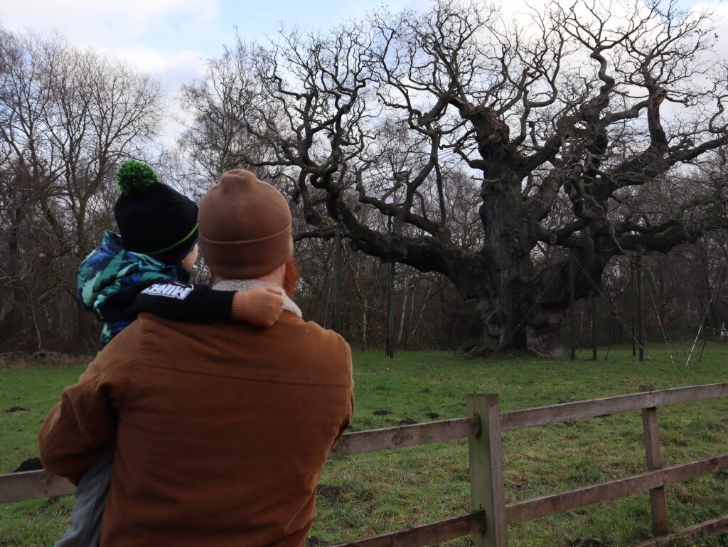 Major Oak in Sherwood Forest. Photo by Rob James.