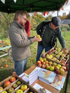 Steve Oram helping to ID apples at an Apple Day