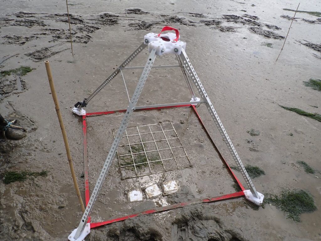 
The team at ZSL uses a custom-made camera rig to take consistent monitoring photos of newly restored seagrass. Photo credit Josh Smith.