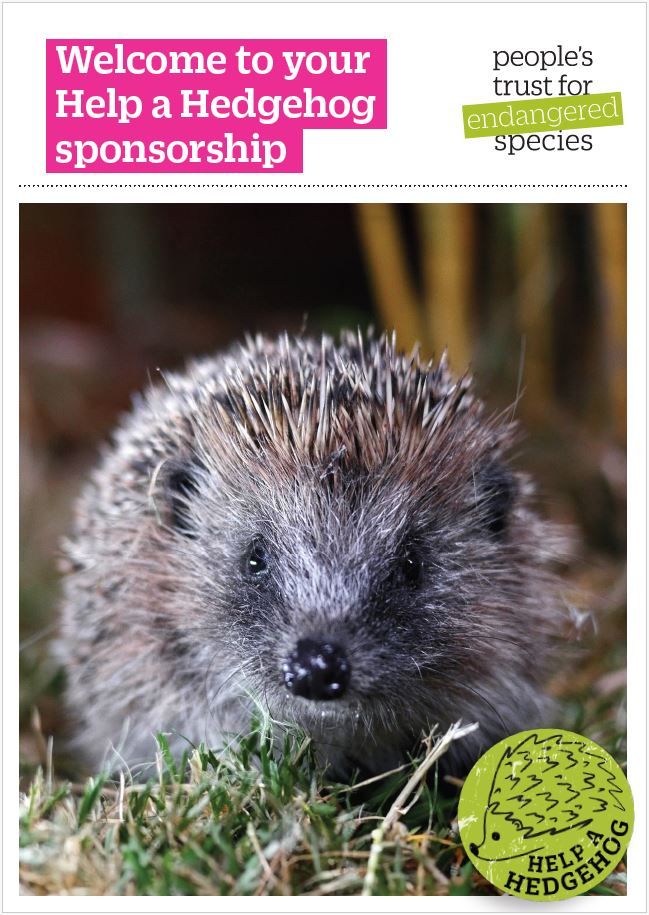 Help a Hedgehog - Welcome booklet - People's Trust for Endangered Species