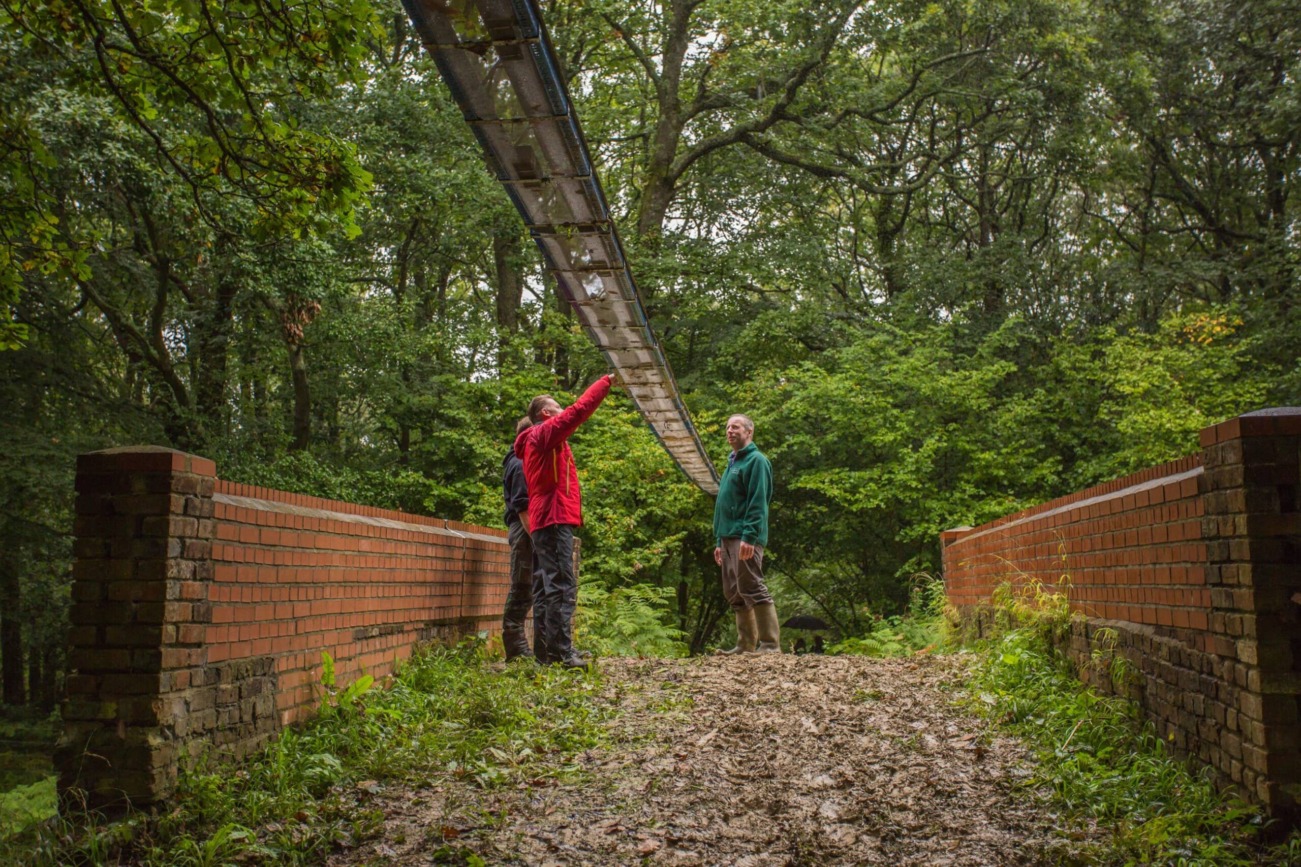 arboreal wildlife bridge, designed for native dormice after seeing successes in Japan, on the Isle of Wight