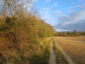 Megan Gimber Hedgerows People's Trust for Endangered Species